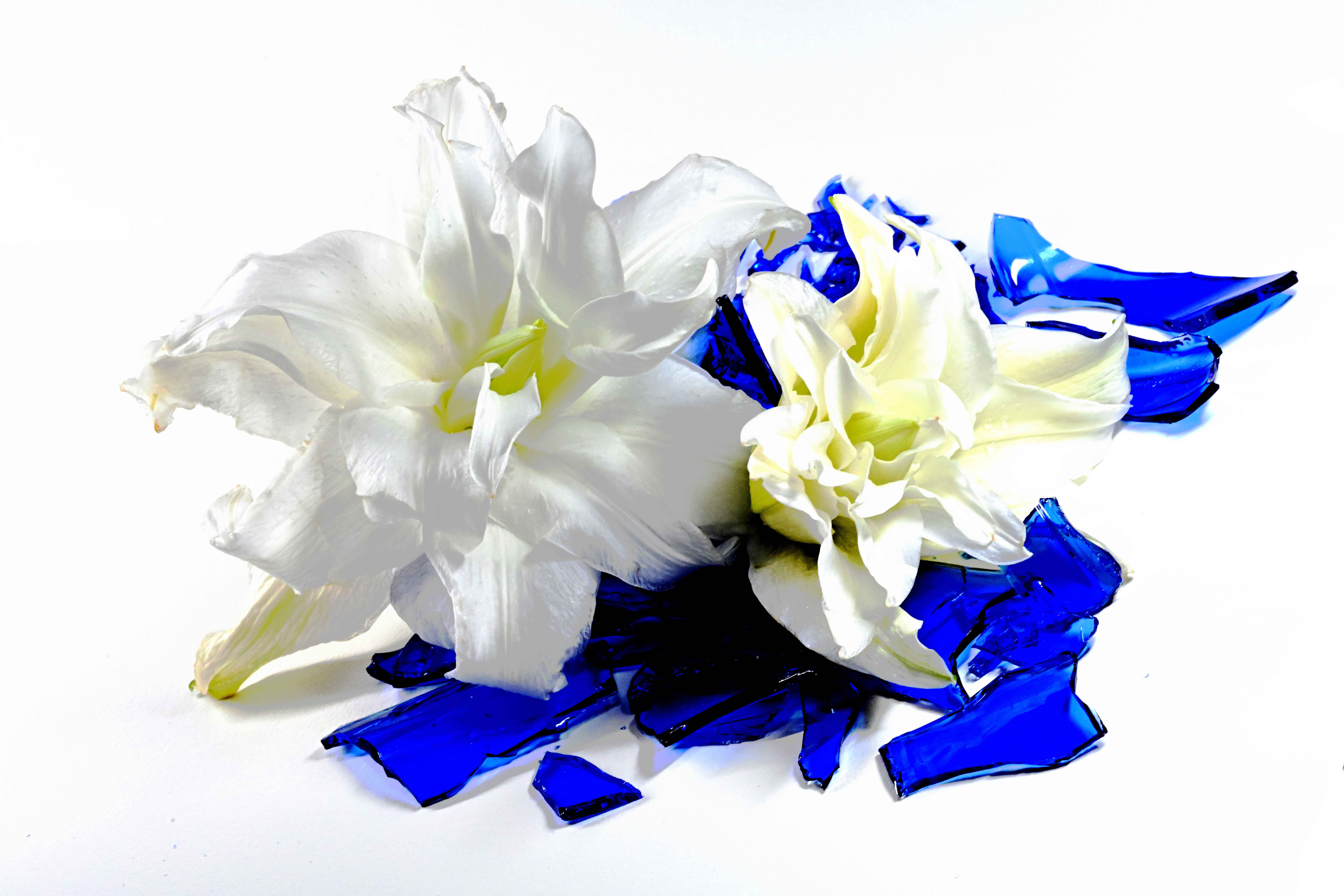 WHITE アートコレクション@MEITETSU ART GALLERY ｜あなたと繋がる